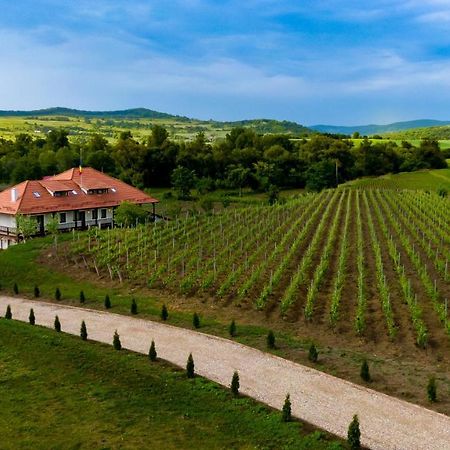 Pensiunea Sonnenhof Sighisoara Ngoại thất bức ảnh