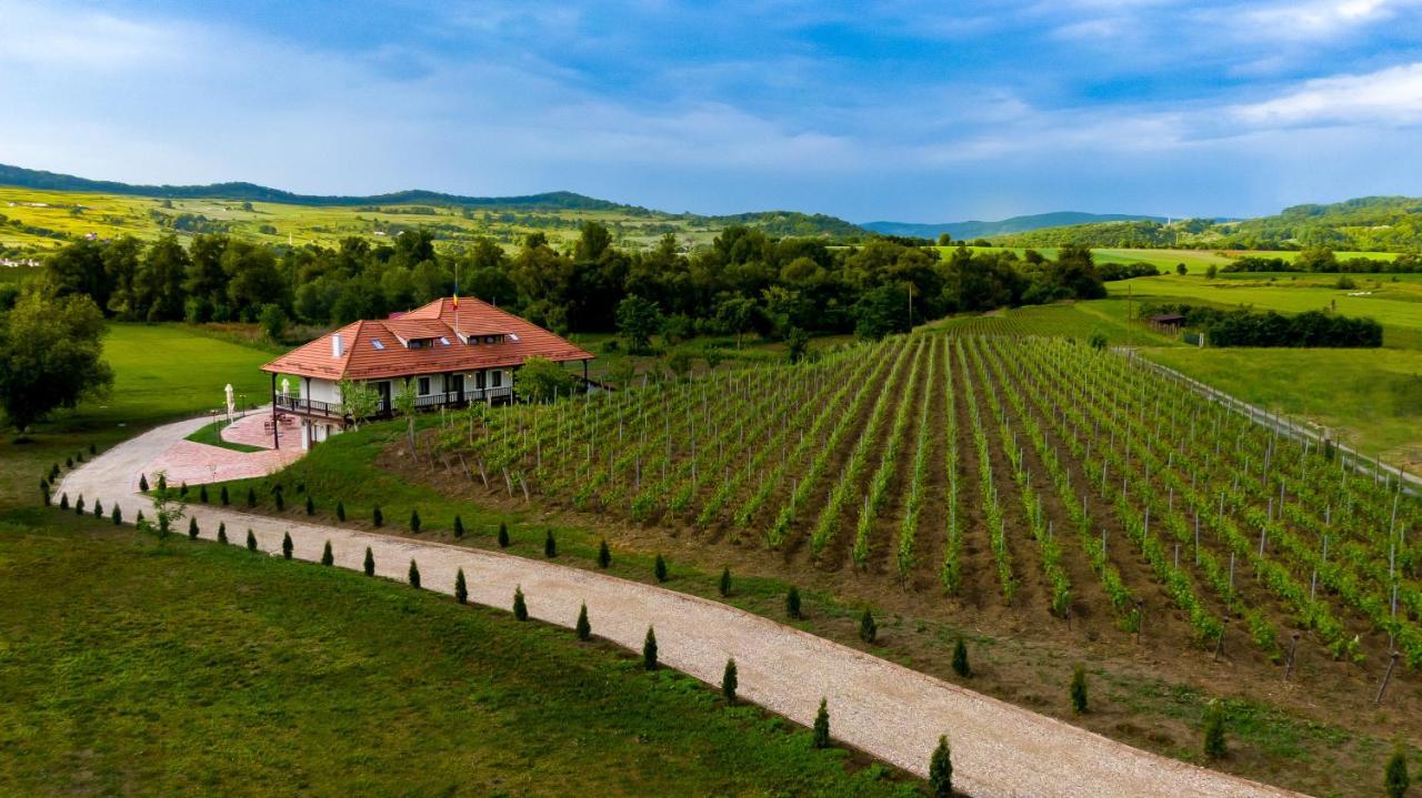 Pensiunea Sonnenhof Sighisoara Ngoại thất bức ảnh
